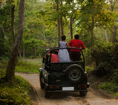 KAZIRANGA
