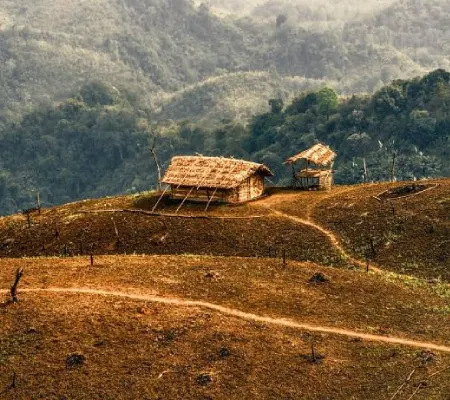 Nagaland