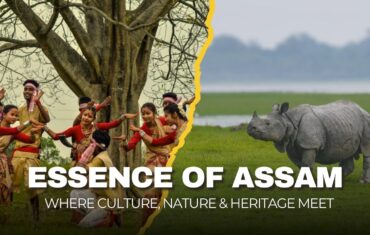 Assam Tour, Assam’s Rich Wildlife, Culture & History in One Tour