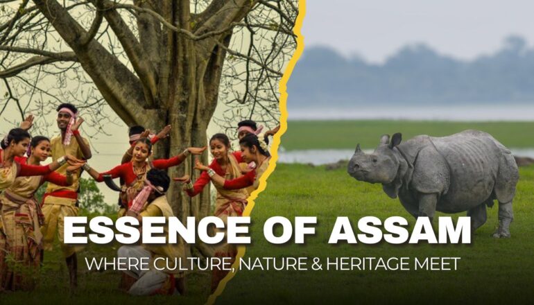 Assam Tour, Assam’s Rich Wildlife, Culture & History in One Tour