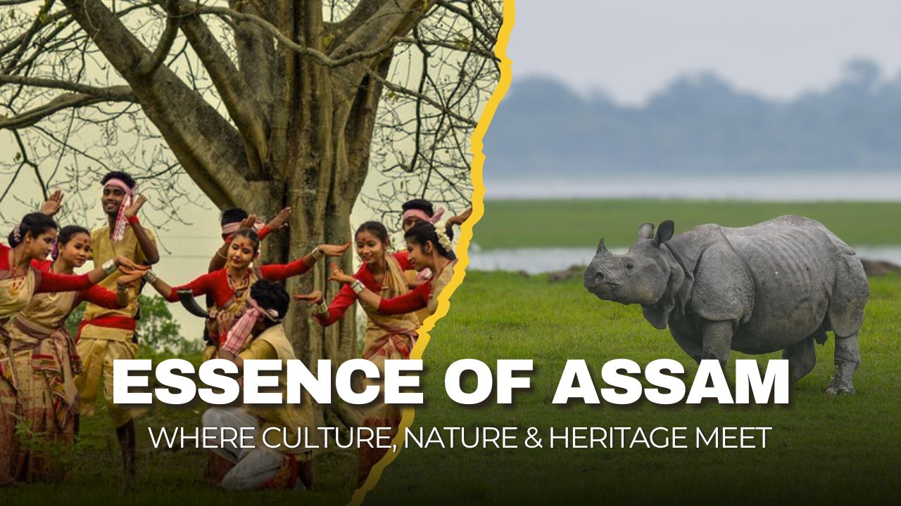 Assam Tour, Assam’s Rich Wildlife, Culture & History in One Tour