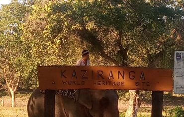 Kaziranga Safari Booking Guide | Best Kaziranga Tour Packages by Assam Discovery