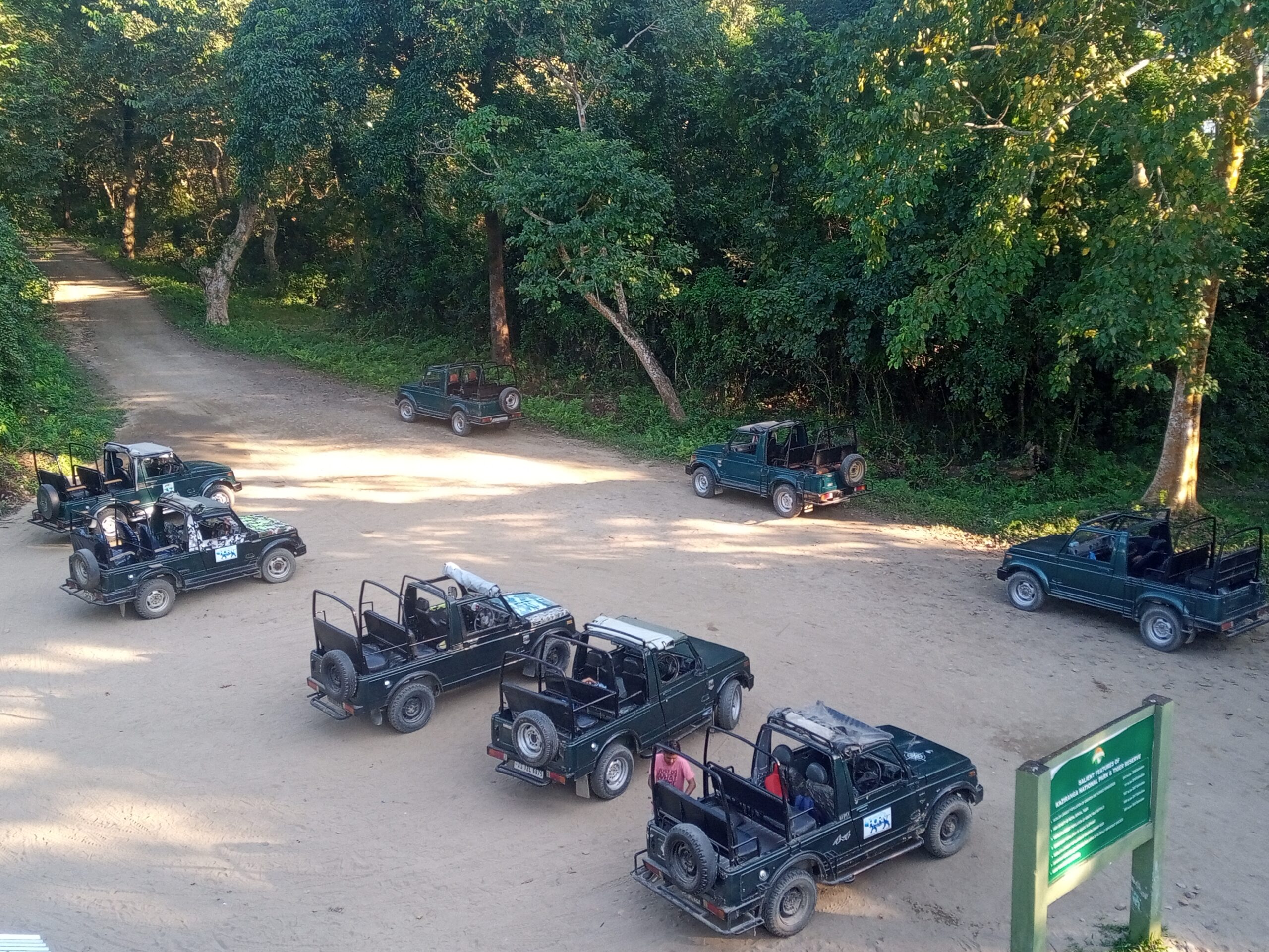 Kaziranga jeep Safari booking