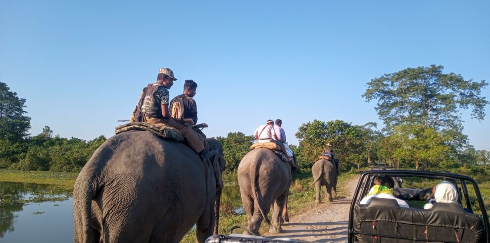 Kaziranga Safari Booking Guide