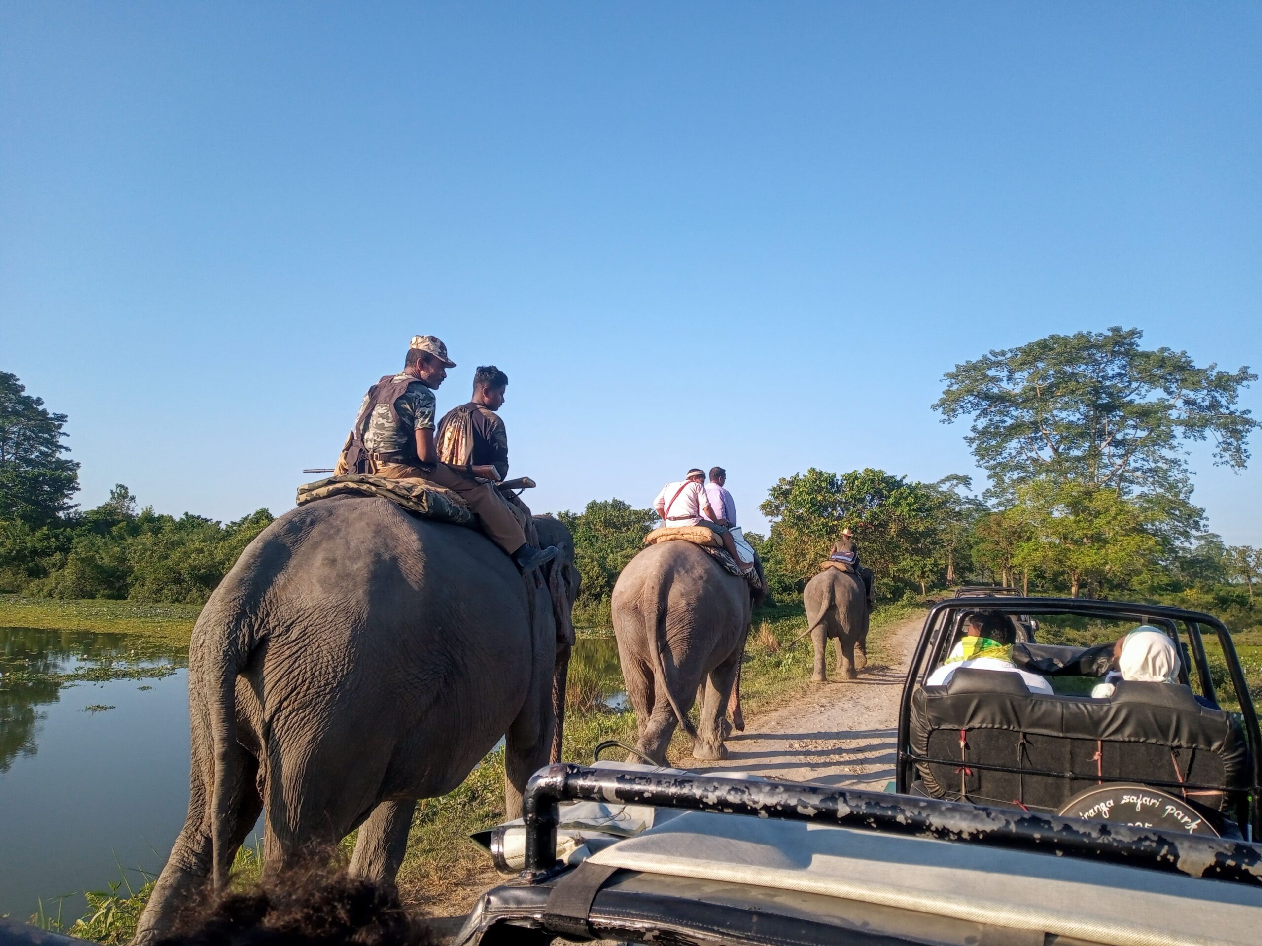 Kaziranga Safari Booking Guide